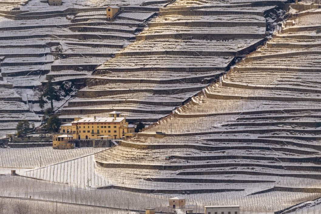 Immagine dei terrazzamenti tipici del territorio del Comune di Bianzone in Provincia di Sondrio. Terrazzamenti coperti dalla neve. Si vede un edificio giallo, la tenuta agricola La Gatta, edificio del XVI secolo. Territorio dell'Ecomuseo delle Terrazze Retiche di Bianzone, uno degli Ecomusei della Lombardia.